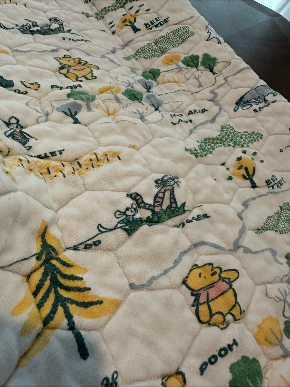 Hanna Andersson X Disney Winnie the Pooh Cotton Baby Blanket and crib sheet